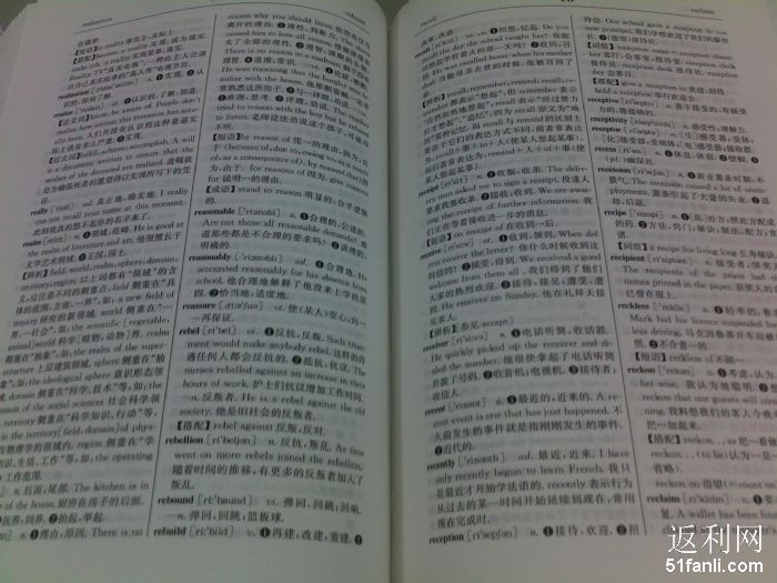 2010111113154809_700.jpg