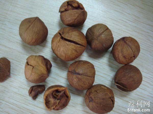 坚果怎么买合适 20101222161819245.jpg