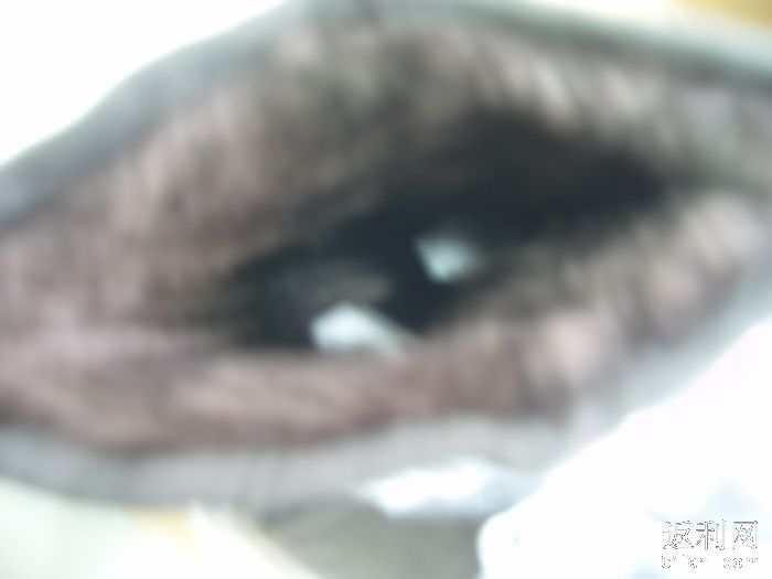 2010123132450650_700.jpg