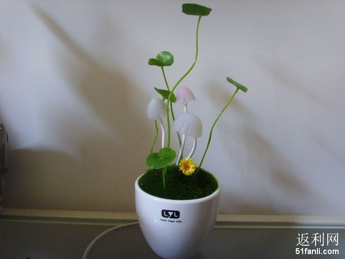 201111413050486_700.jpg